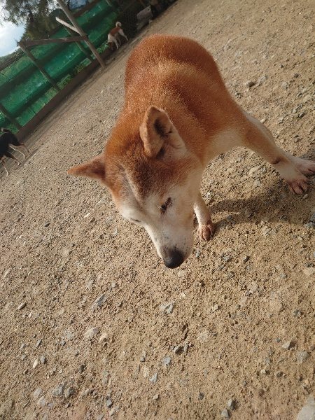 f：id：roukenhome-ann：20200504183223j：plain