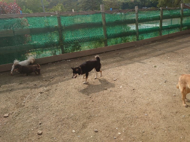 f：id：roukenhome-ann：20200504183310j：plain