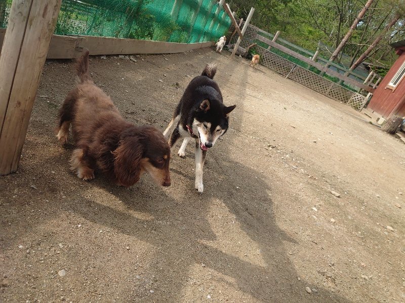 f：id：roukenhome-ann：20200504183344j：plain