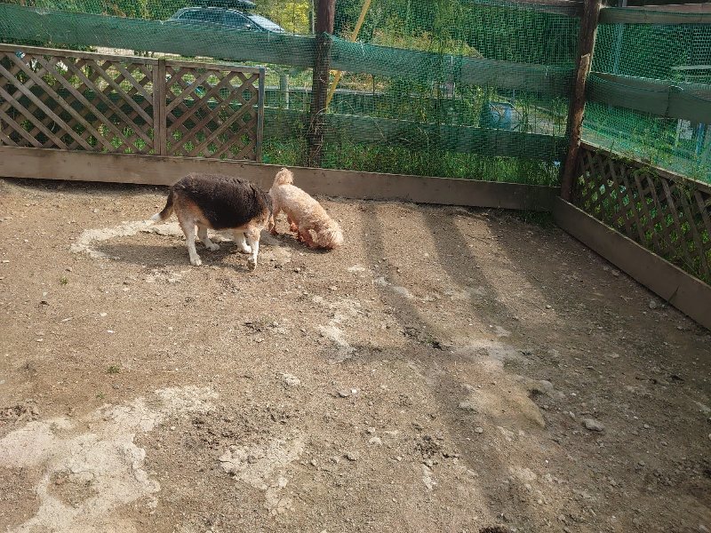 f：id：roukenhome-ann：20200504183403j：plain