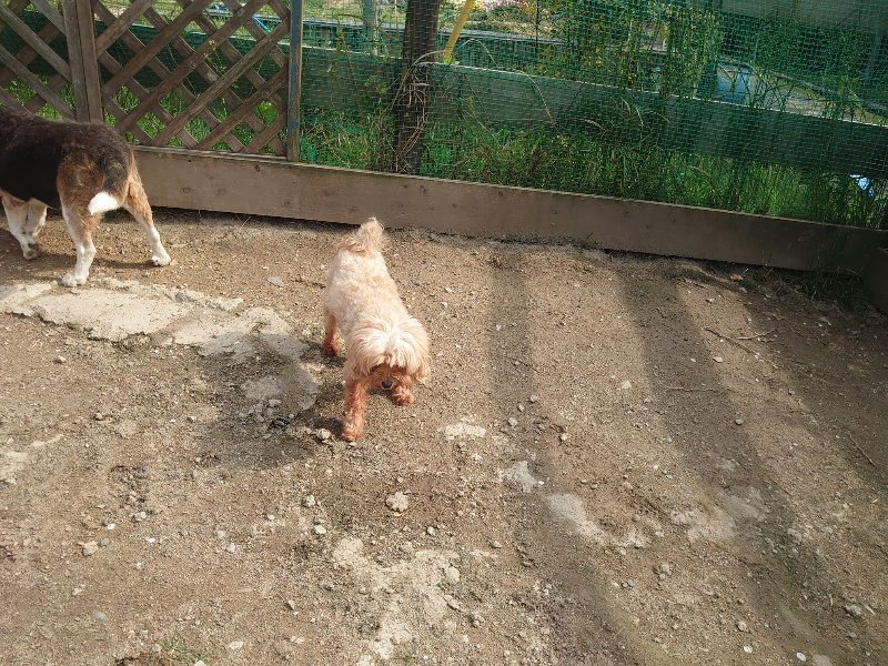 f：id：roukenhome-ann：20200504183428j：plain