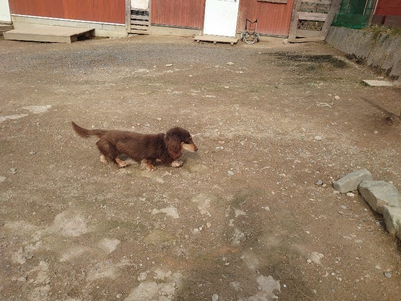 f：id：roukenhome-ann：20200504183528j：plain