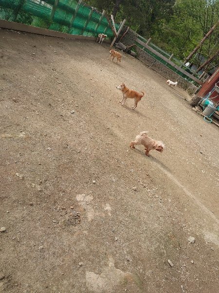 f：id：roukenhome-ann：20200504183542j：plain
