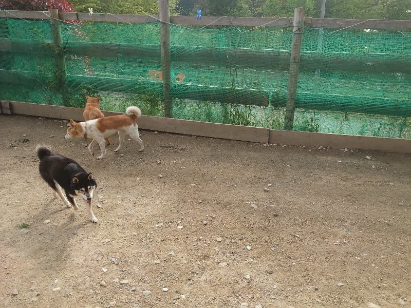 f：id：roukenhome-ann：20200504183615j：plain