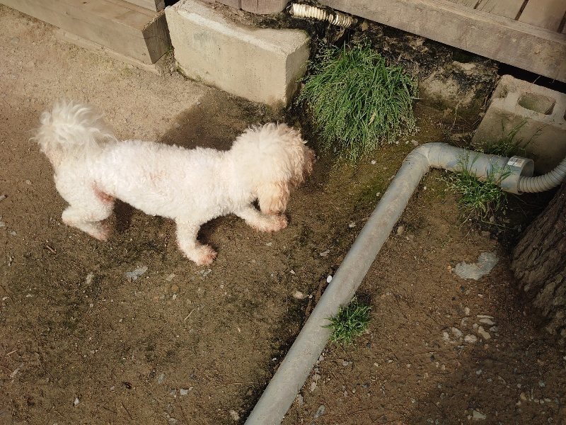 f：id：roukenhome-ann：20200504183641j：plain