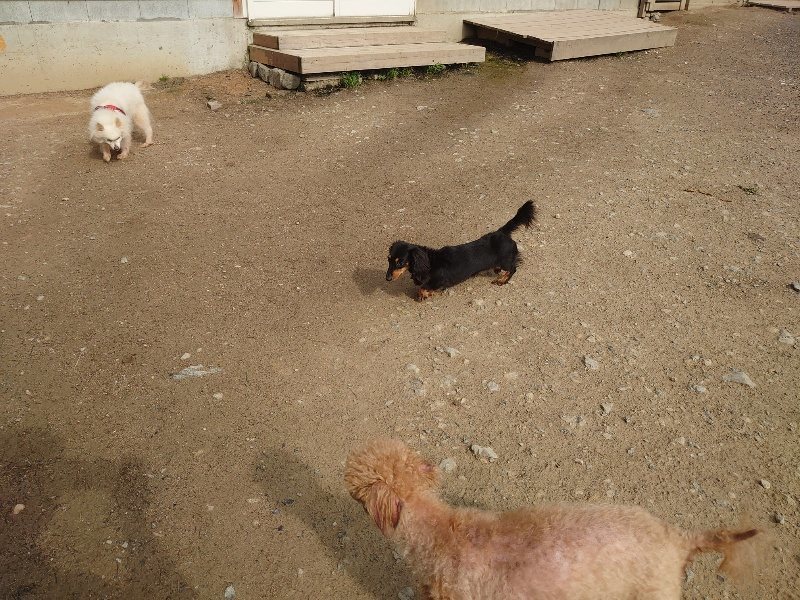 f：id：roukenhome-ann：20200504183653j：plain