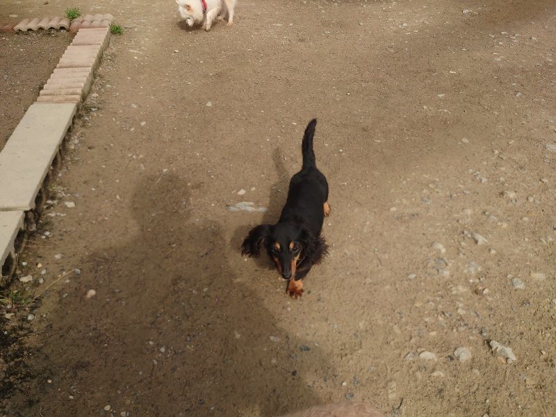 f：id：roukenhome-ann：20200504183708j：plain