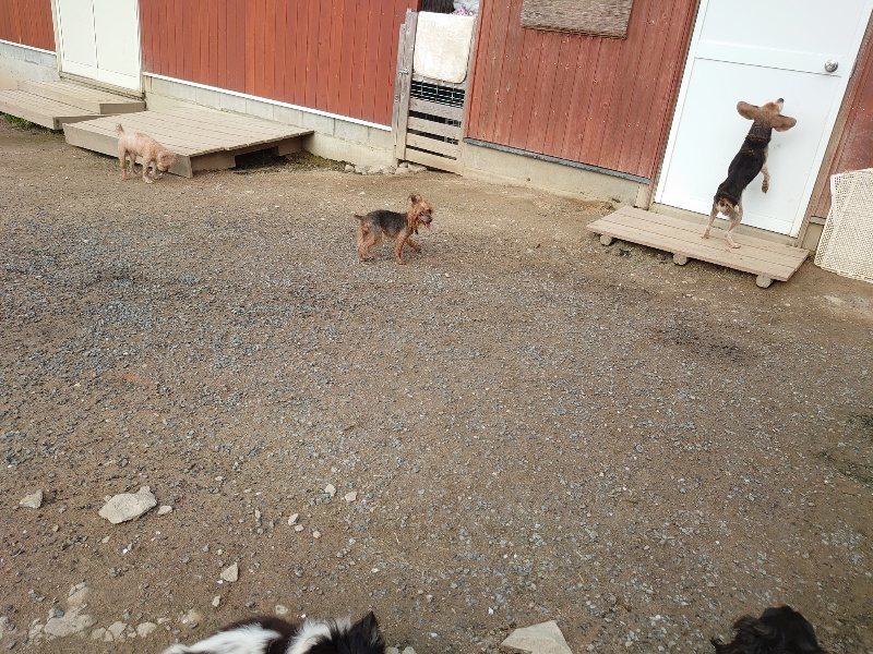 f：id：roukenhome-ann：20200504183829j：plain