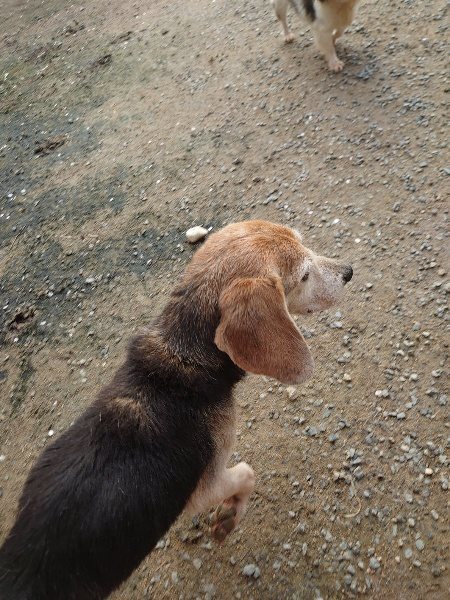 f：id：roukenhome-ann：20200504183856j：plain