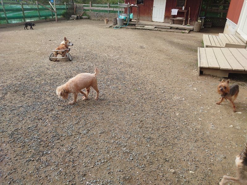 f：id：roukenhome-ann：20200504183911j：plain