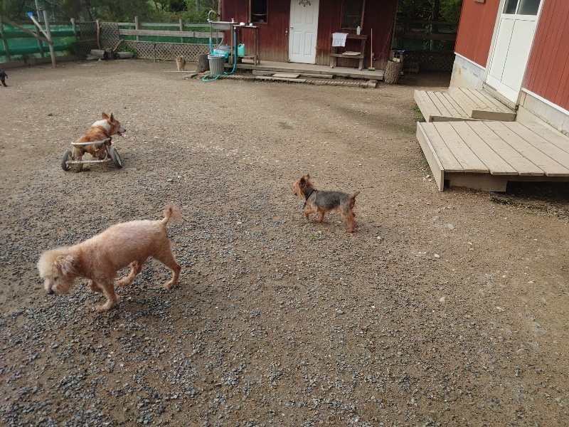 f：id：roukenhome-ann：20200504183930j：plain