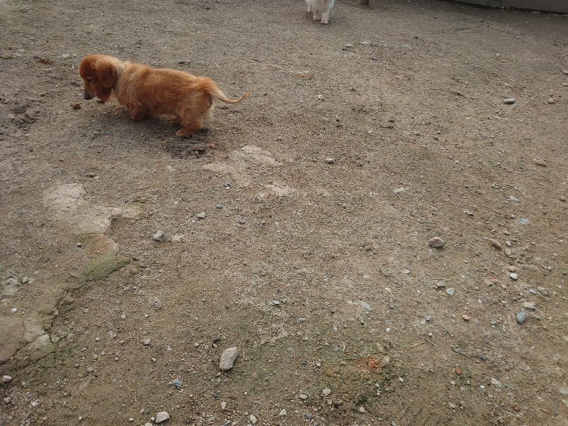 f：id：roukenhome-ann：20200504184101j：plain