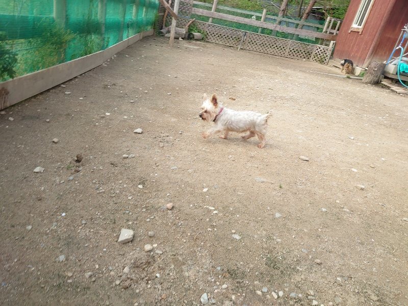 f：id：roukenhome-ann：20200504184337j：plain