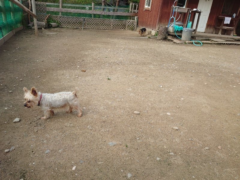 f：id：roukenhome-ann：20200504184344j：plain