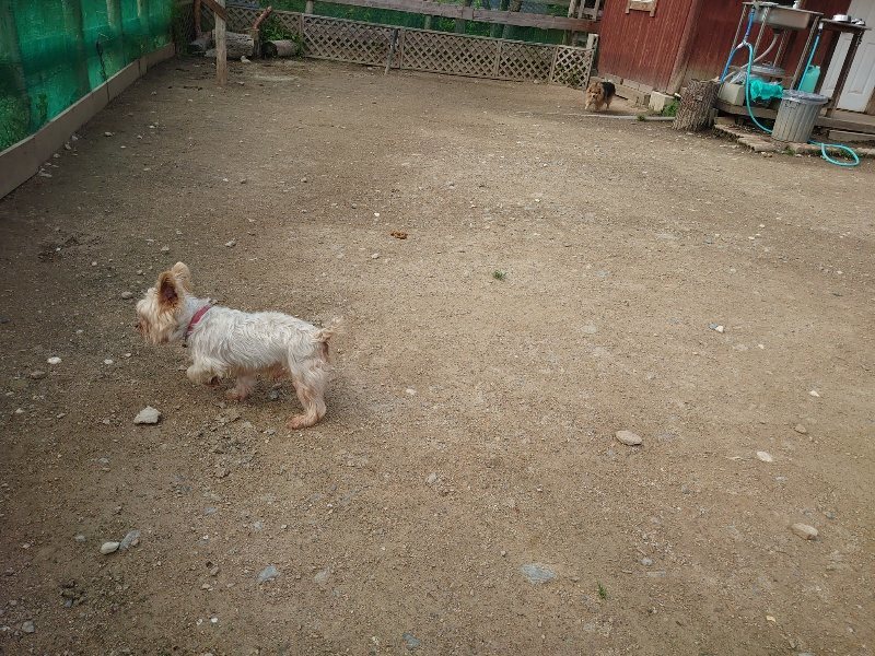 f：id：roukenhome-ann：20200504184349j：plain