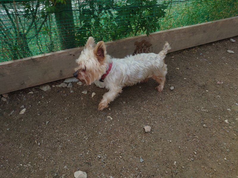 f：id：roukenhome-ann：20200504184400j：plain
