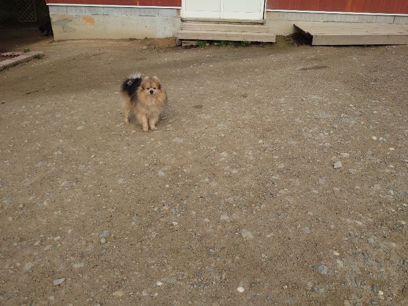 f：id：roukenhome-ann：20200504184445j：plain