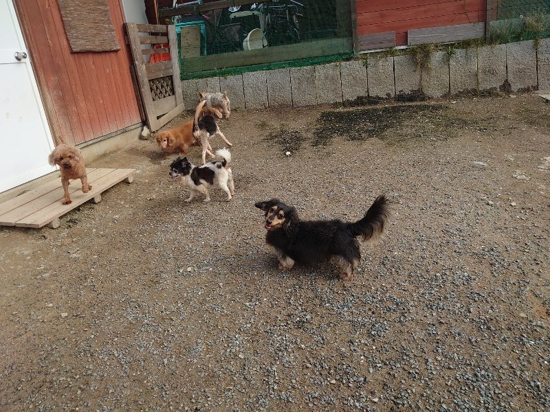 f：id：roukenhome-ann：20200504184612j：plain