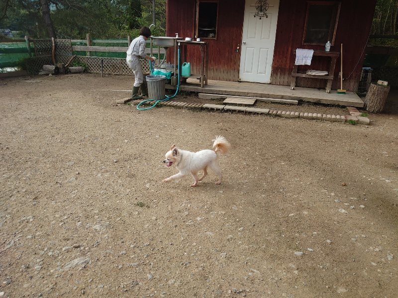 f：id：roukenhome-ann：20200504184640j：plain