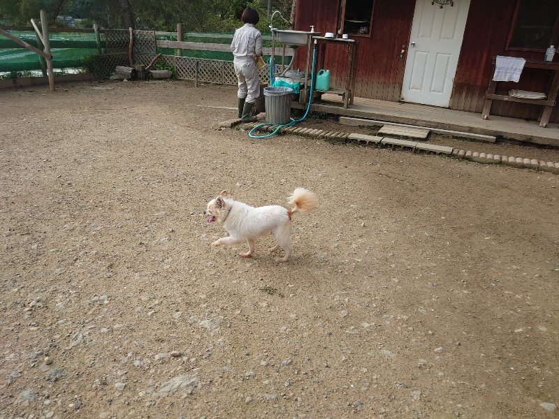 f：id：roukenhome-ann：20200504184645j：plain