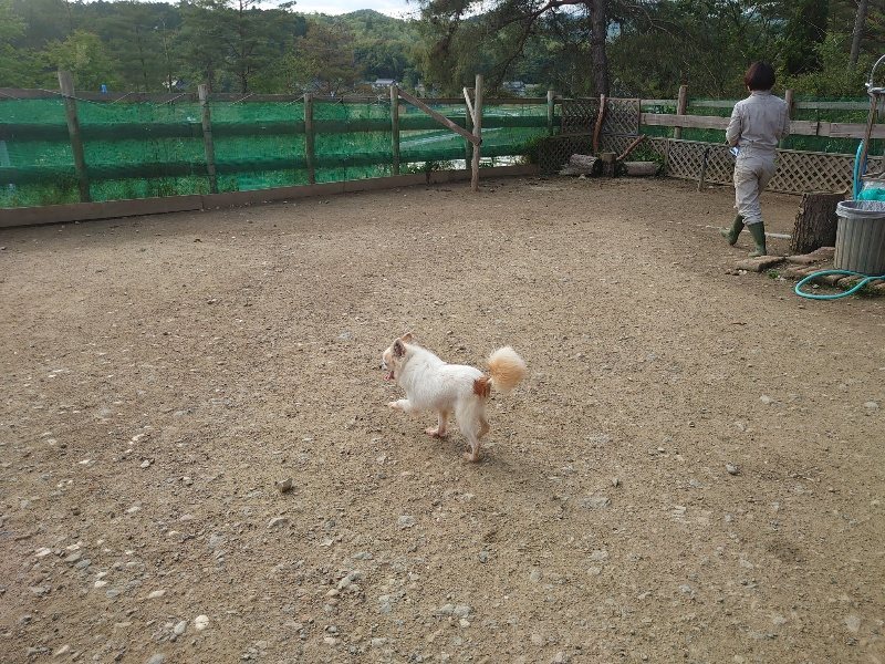 f：id：roukenhome-ann：20200504184650j：plain