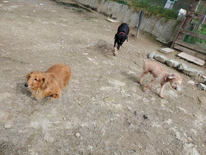 f:id:roukenhome-ann:20200505104807j:plain f:id:roukenhome-ann:20200505104807j:plain
