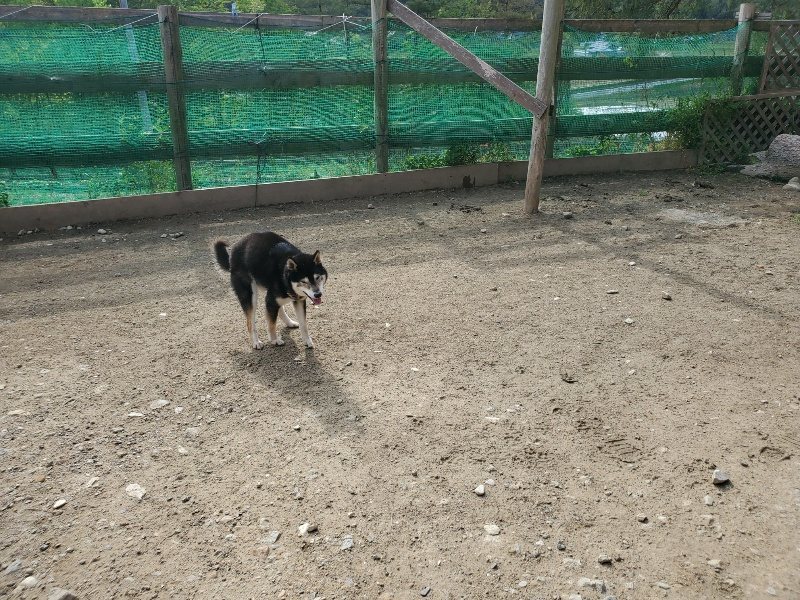 f:id:roukenhome-ann:20200505105307j:plain f:id:roukenhome-ann:20200505105307j:plain