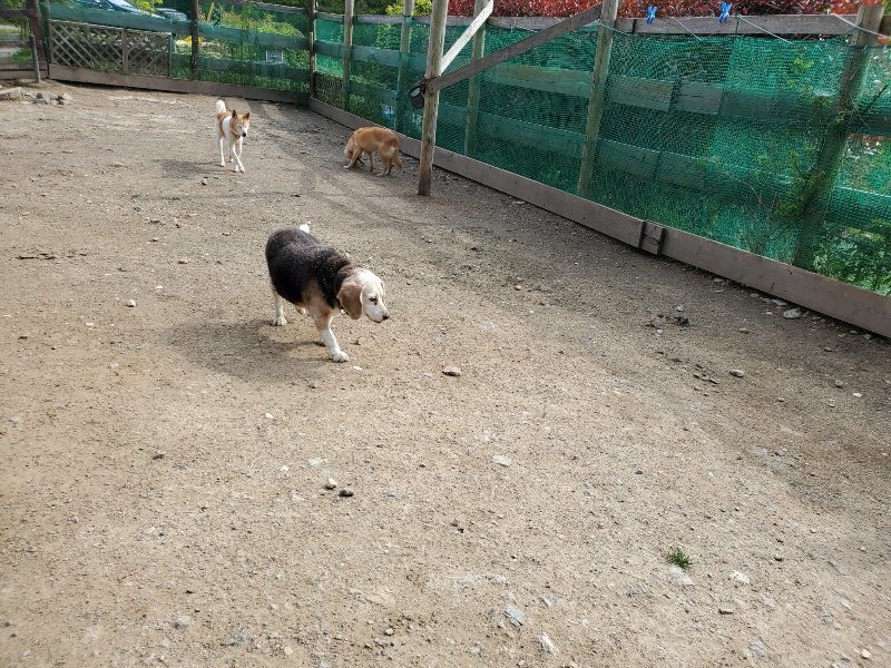 f:id:roukenhome-ann:20200505105401j:plain f:id:roukenhome-ann:20200505105401j:plain