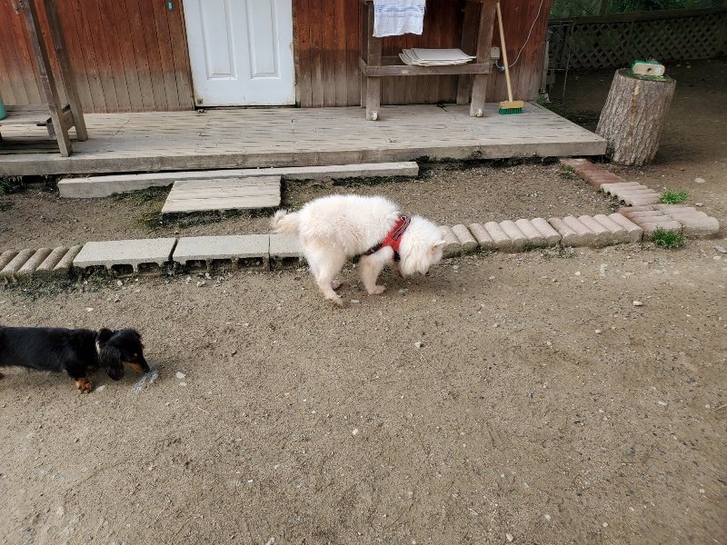f:id:roukenhome-ann:20200505105651j:plain f:id:roukenhome-ann:20200505105651j:plain