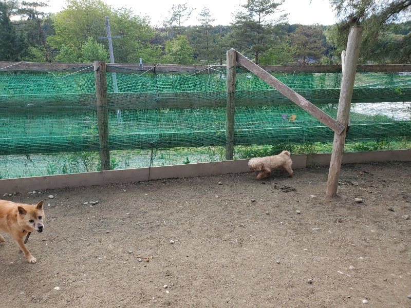 f:id:roukenhome-ann:20200505105720j:plain f:id:roukenhome-ann:20200505105720j:plain