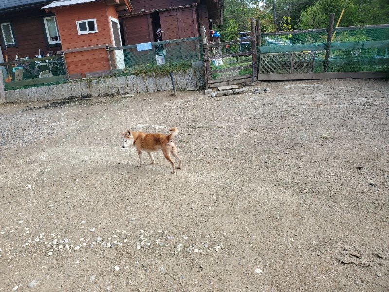 f:id:roukenhome-ann:20200505105815j:plain f:id:roukenhome-ann:20200505105815j:plain