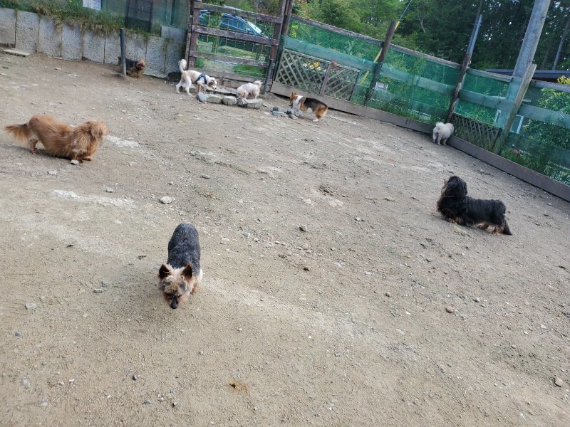 f:id:roukenhome-ann:20200505110111j:plain f:id:roukenhome-ann:20200505110111j:plain
