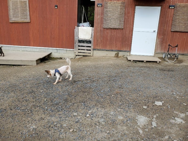 f:id:roukenhome-ann:20200505110448j:plain f:id:roukenhome-ann:20200505110448j:plain