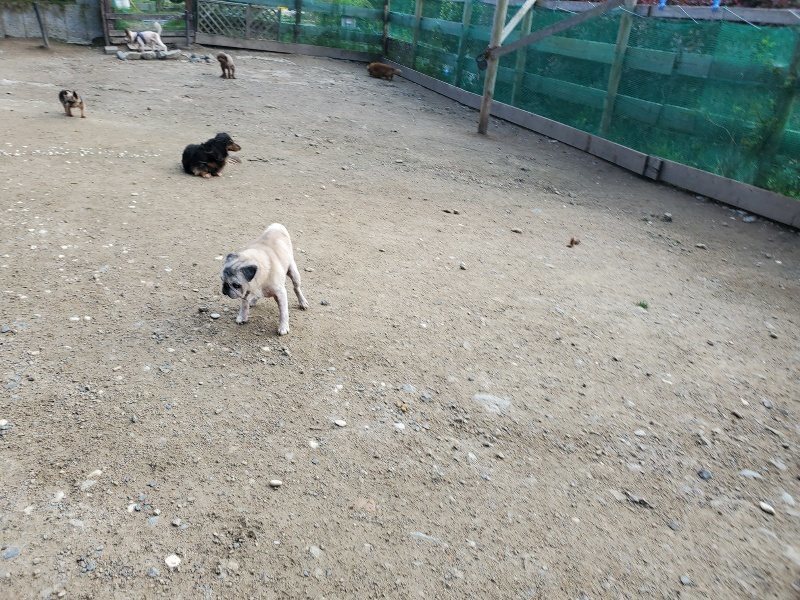 f：id：roukenhome-ann：20200505121024j：plain