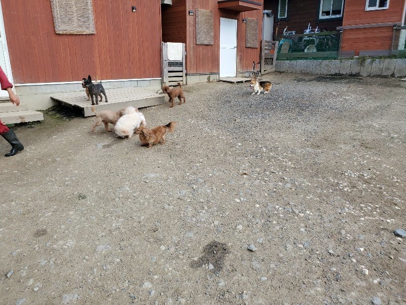 f：id：roukenhome-ann：20200505121047j：plain