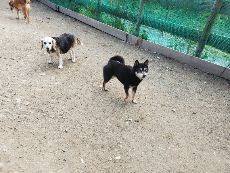 f：id：roukenhome-ann：20200505121513j：plain