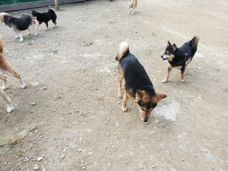 f：id：roukenhome-ann：20200505121910j：plain