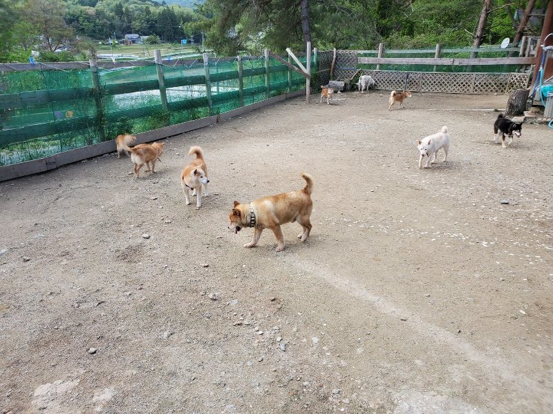 f：id：roukenhome-ann：20200505121953j：plain