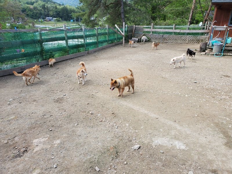 f：id：roukenhome-ann：20200505122000j：plain
