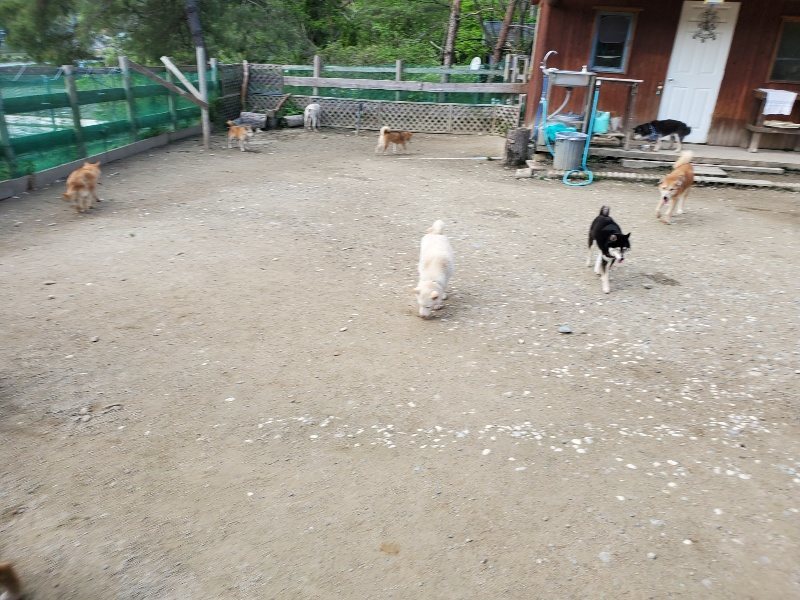 f：id：roukenhome-ann：20200505122020j：plain