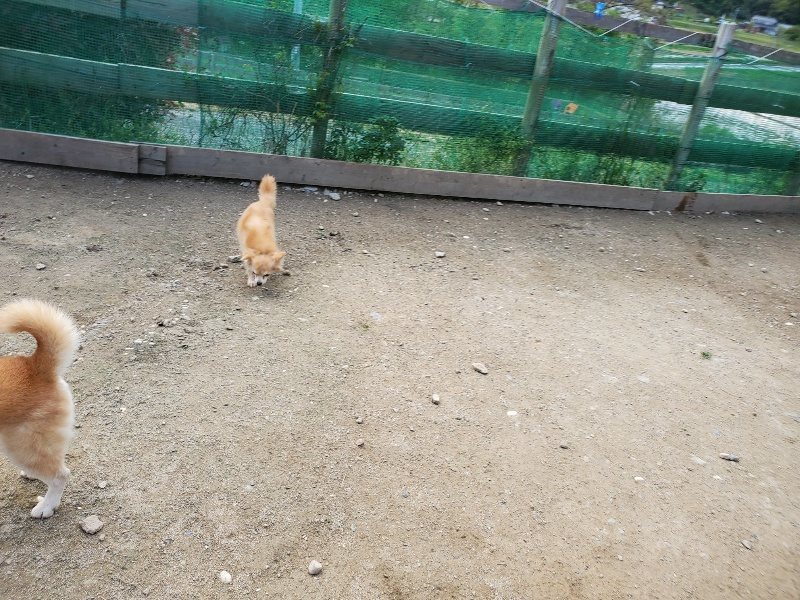 f：id：roukenhome-ann：20200505122044j：plain