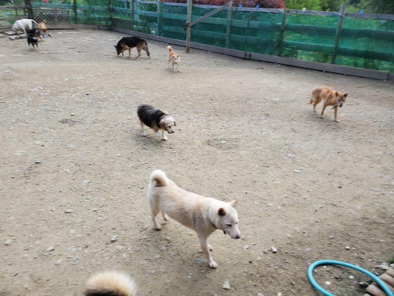 f：id：roukenhome-ann：20200505122416j：plain