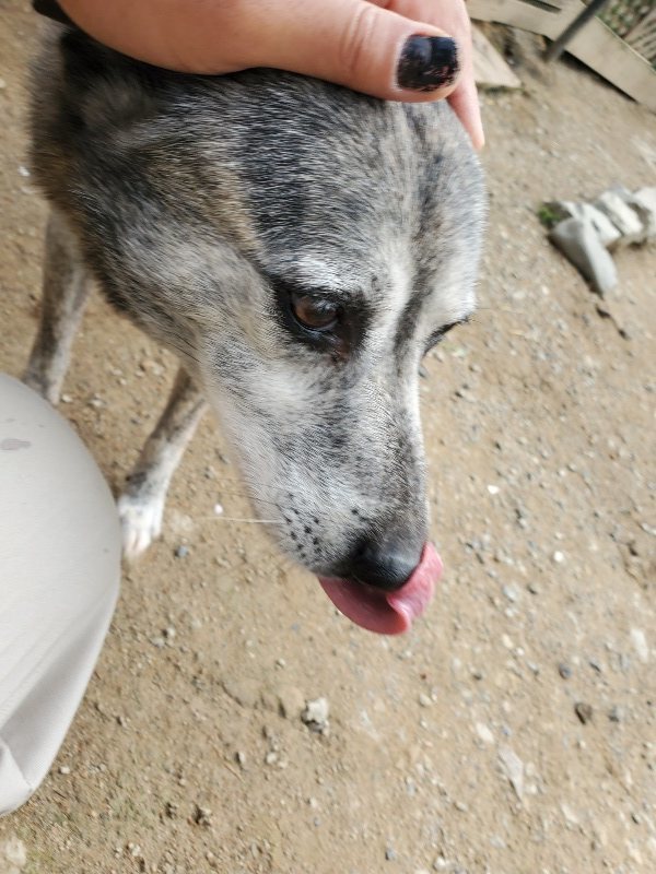f：id：roukenhome-ann：20200505122514j：plain