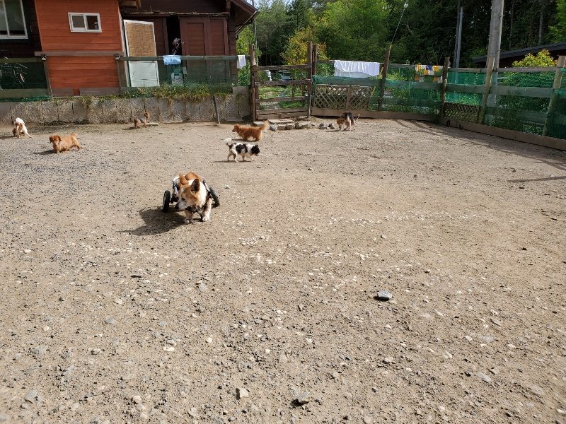 f:id:roukenhome-ann:20200506064622j:plain f:id:roukenhome-ann:20200506064622j:plain