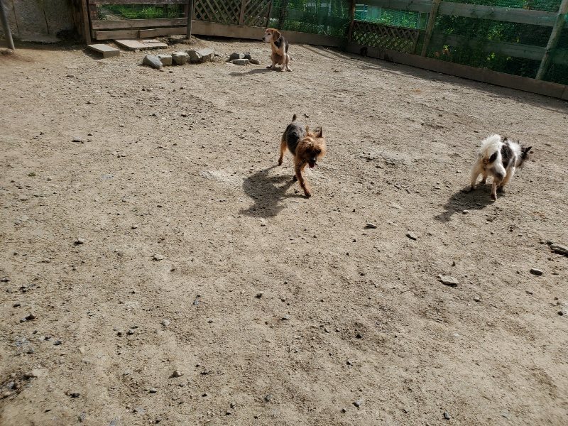 f:id:roukenhome-ann:20200506064719j:plain f:id:roukenhome-ann:20200506064719j:plain