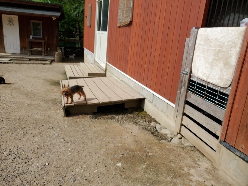 f:id:roukenhome-ann:20200506065007j:plain f:id:roukenhome-ann:20200506065007j:plain