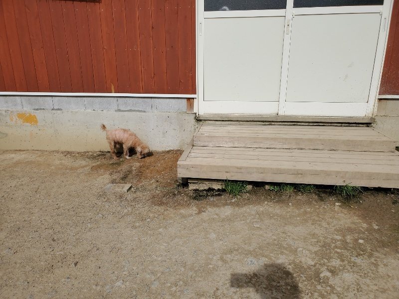 f：id：roukenhome-ann：20200506065901j：plain
