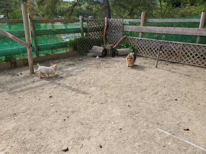 f：id：roukenhome-ann：20200506065939j：plain