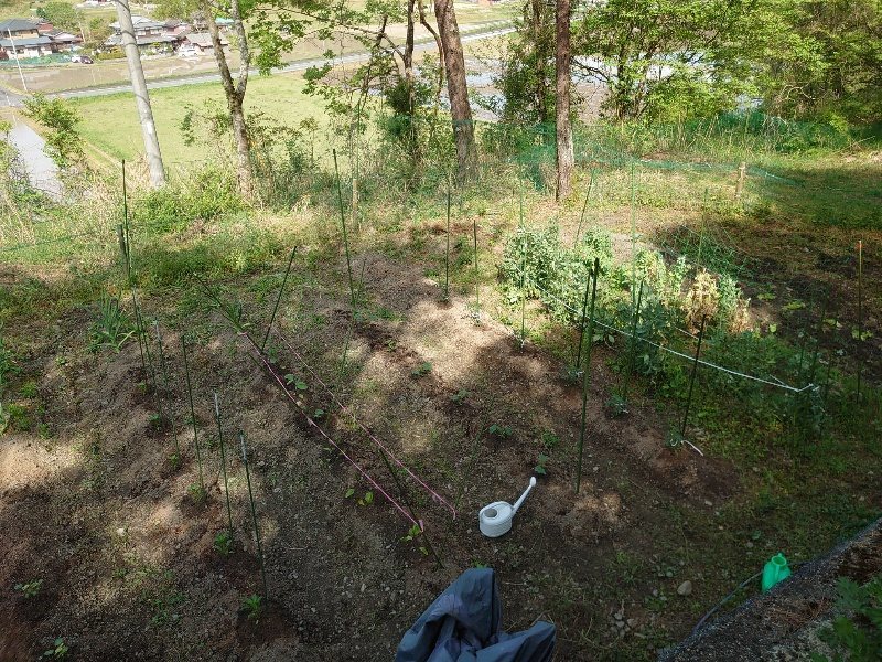 f：id：roukenhome-ann：20200506111538j：plain