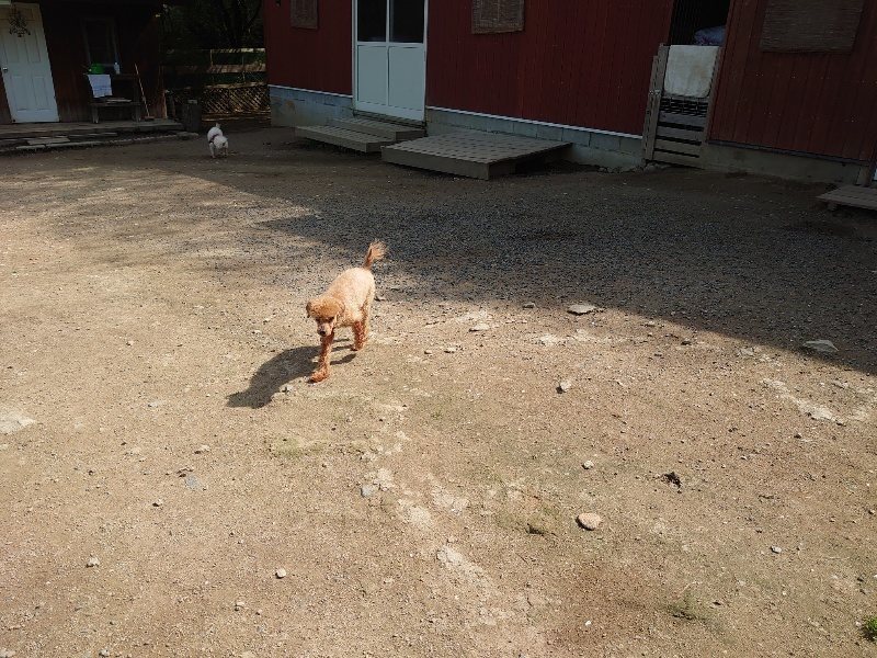 f：id：roukenhome-ann：20200506112341j：plain